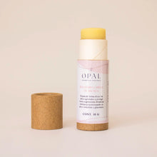 Load image into Gallery viewer, Bálsamo Labial Menta
